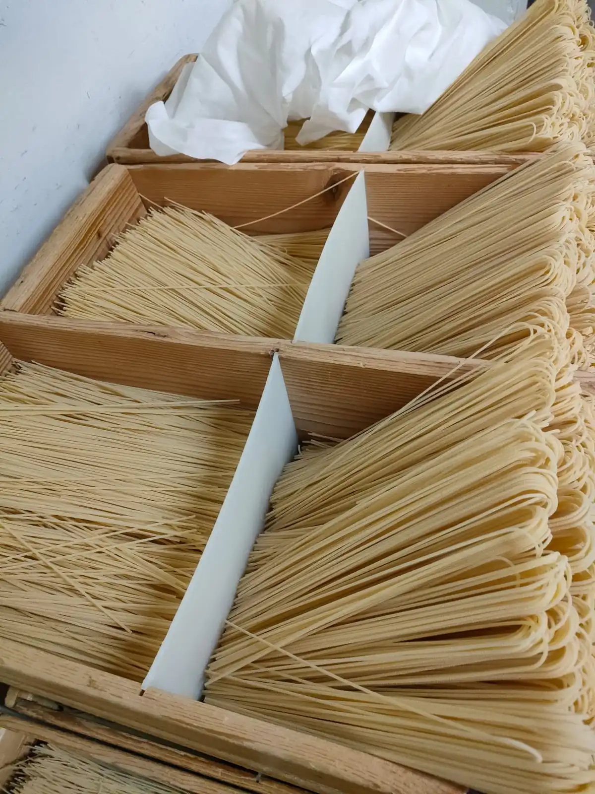 Dried spaghetti ready for packaging