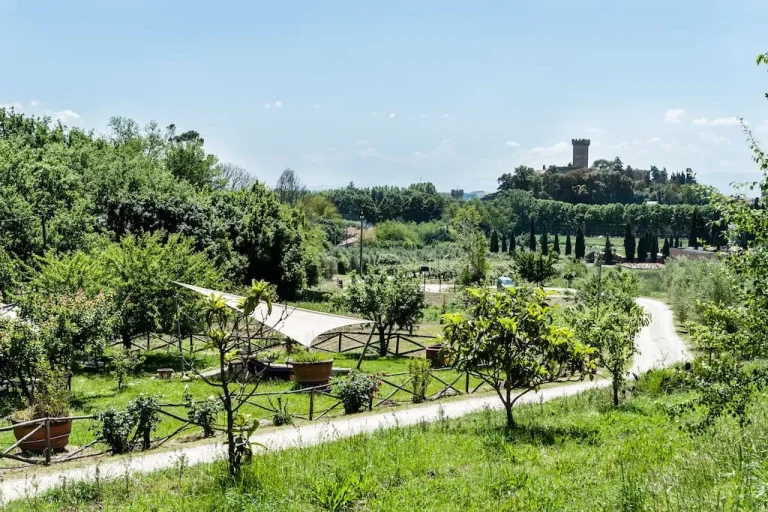 Esterno frantoio di vicopisano