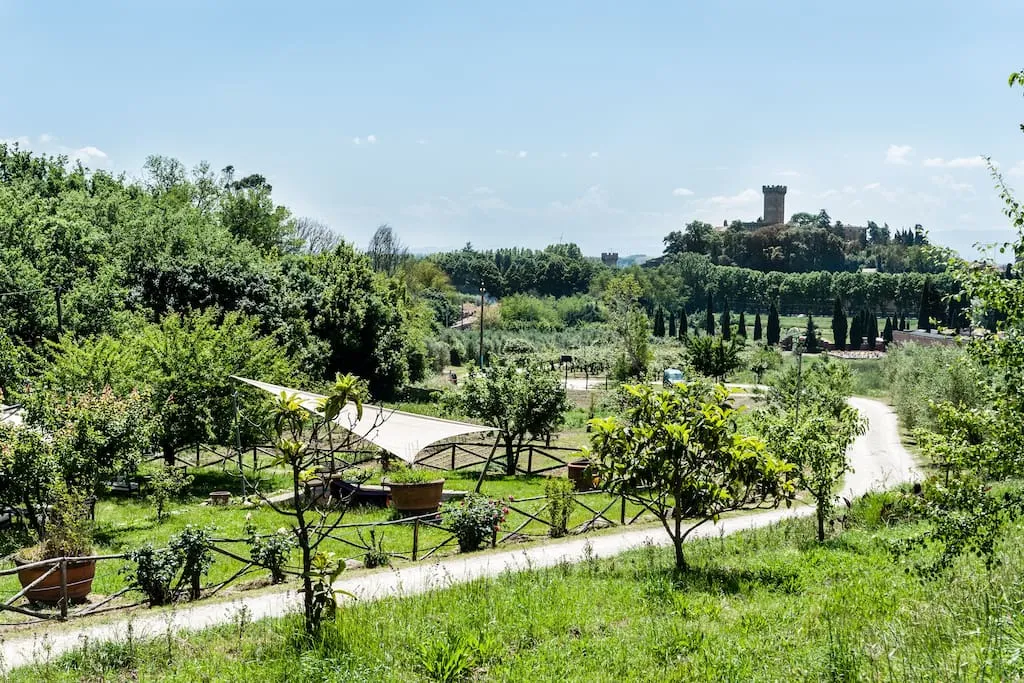 Esterno frantoio di vicopisano