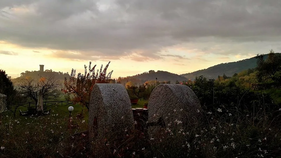 View of Montepisano from the garden of the oil mill