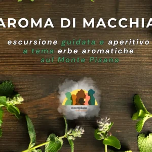Aroma di Macchia